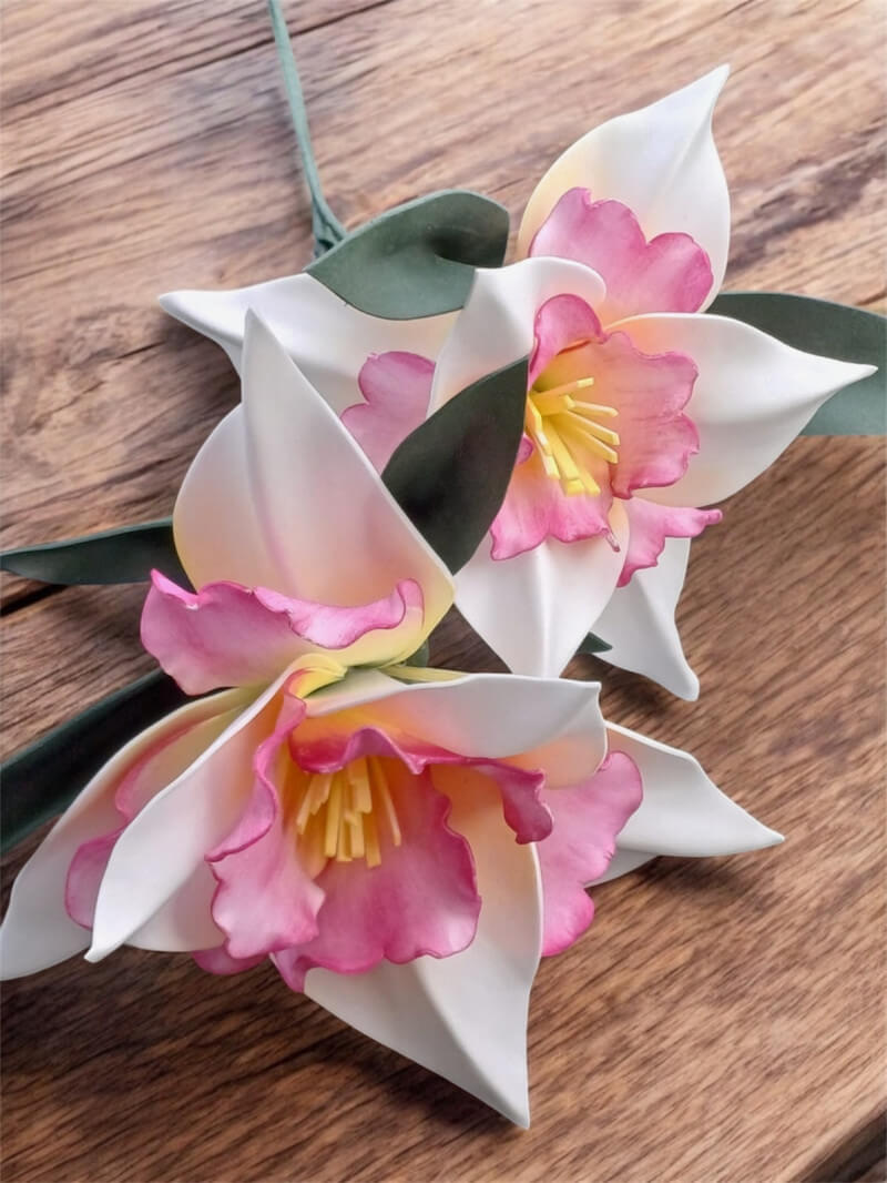 Çift Dal Eva Nergis Çiçek