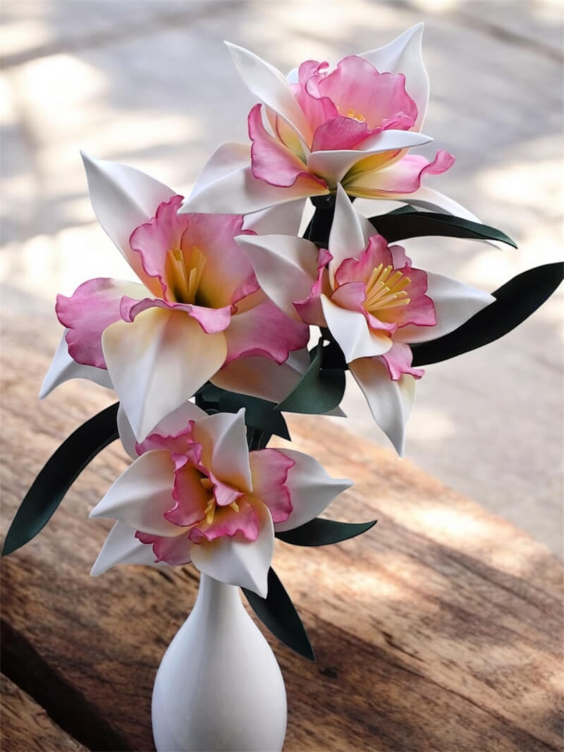 Çift Dal Eva Nergis Çiçek